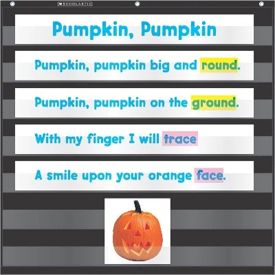 Scholastic Teaching Solutions Standard Pocket Chart Target