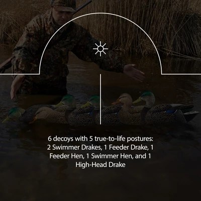 Avian X Topflight Back Water Mallard Decoy 6 Pack - Mobile Vintage Arts for Desktop