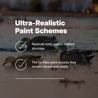 Avian X Topflight Back Water Mallard Decoy 6 Pack - Modern HD Vintage Patterns | Free Download
