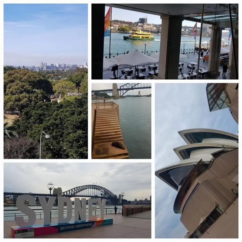 Collage of Sydney Harbour views from Pullman Quay Grand Sydney Harbour, featuring Circular Quay, the Sydney Harbour Bridge, Sydney Opera House and city skyline.