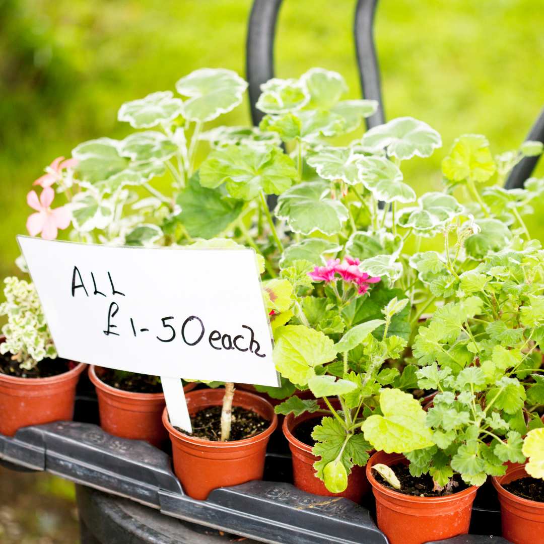 Plant Sale