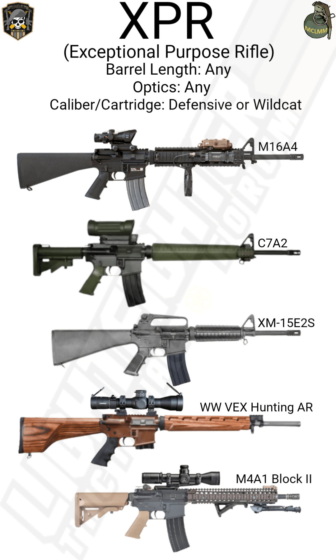 INSPIRED: Rifle Types for Regular Guys – taskernetwork.com