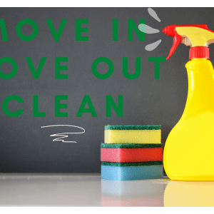 Move In/Move Out Clean