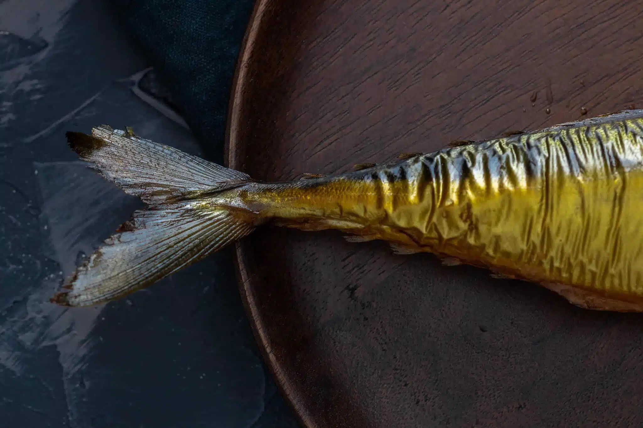 Image showcasing Why should you buy an MSC certified fish and seafood? - Taste Is Yours
