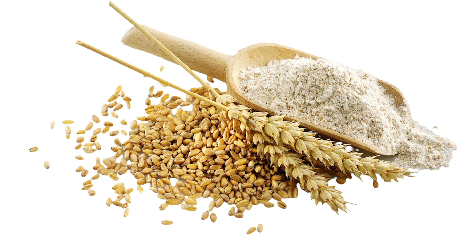 Background image of wheat and flour