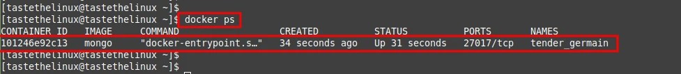 How to Install MongoDB on Docker Container linux Docker ps