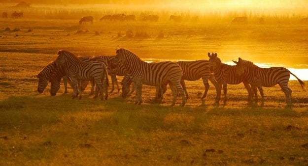Explore Africa With Drifters Adventure