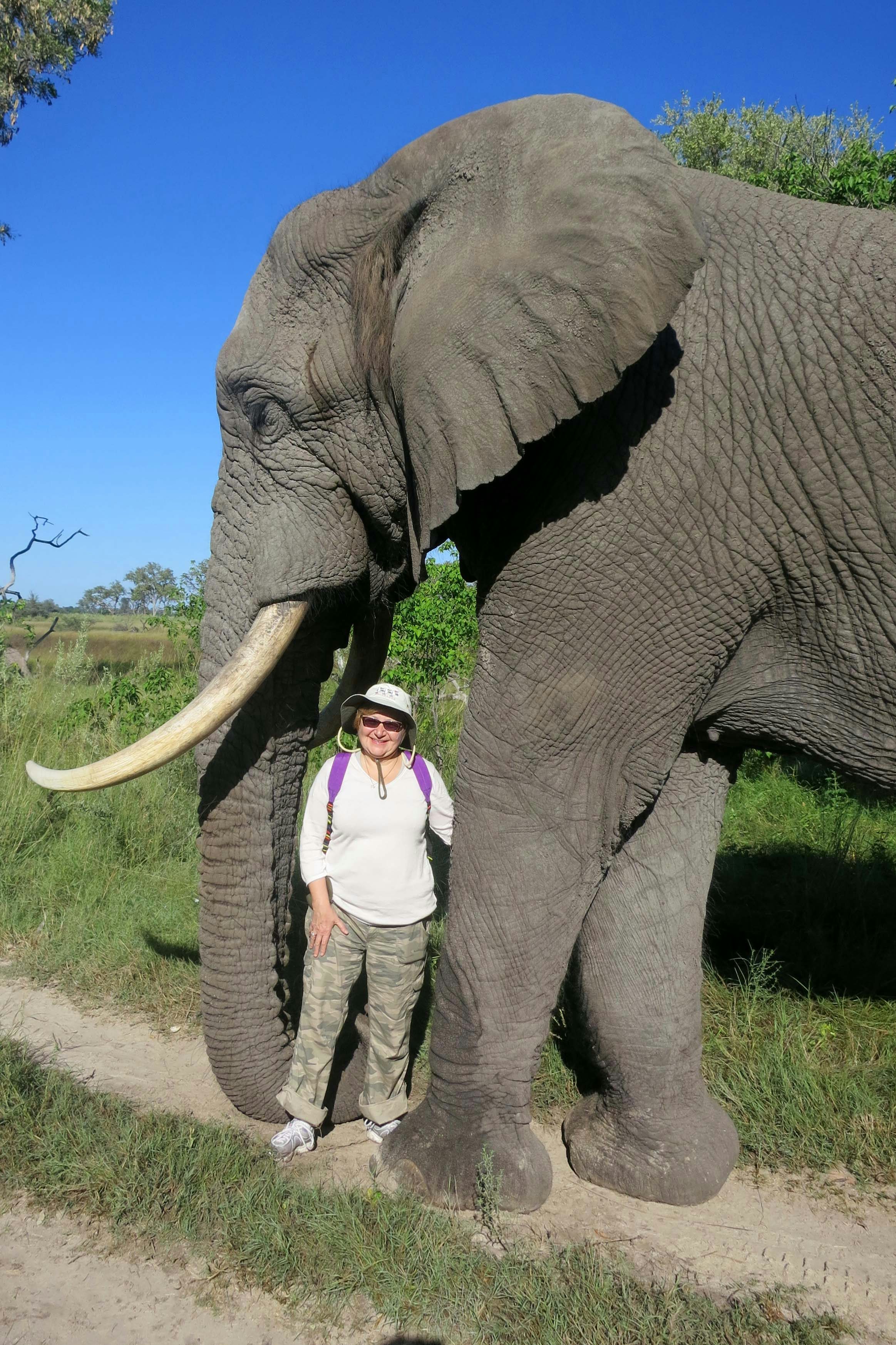 Africa Trip Report 2015