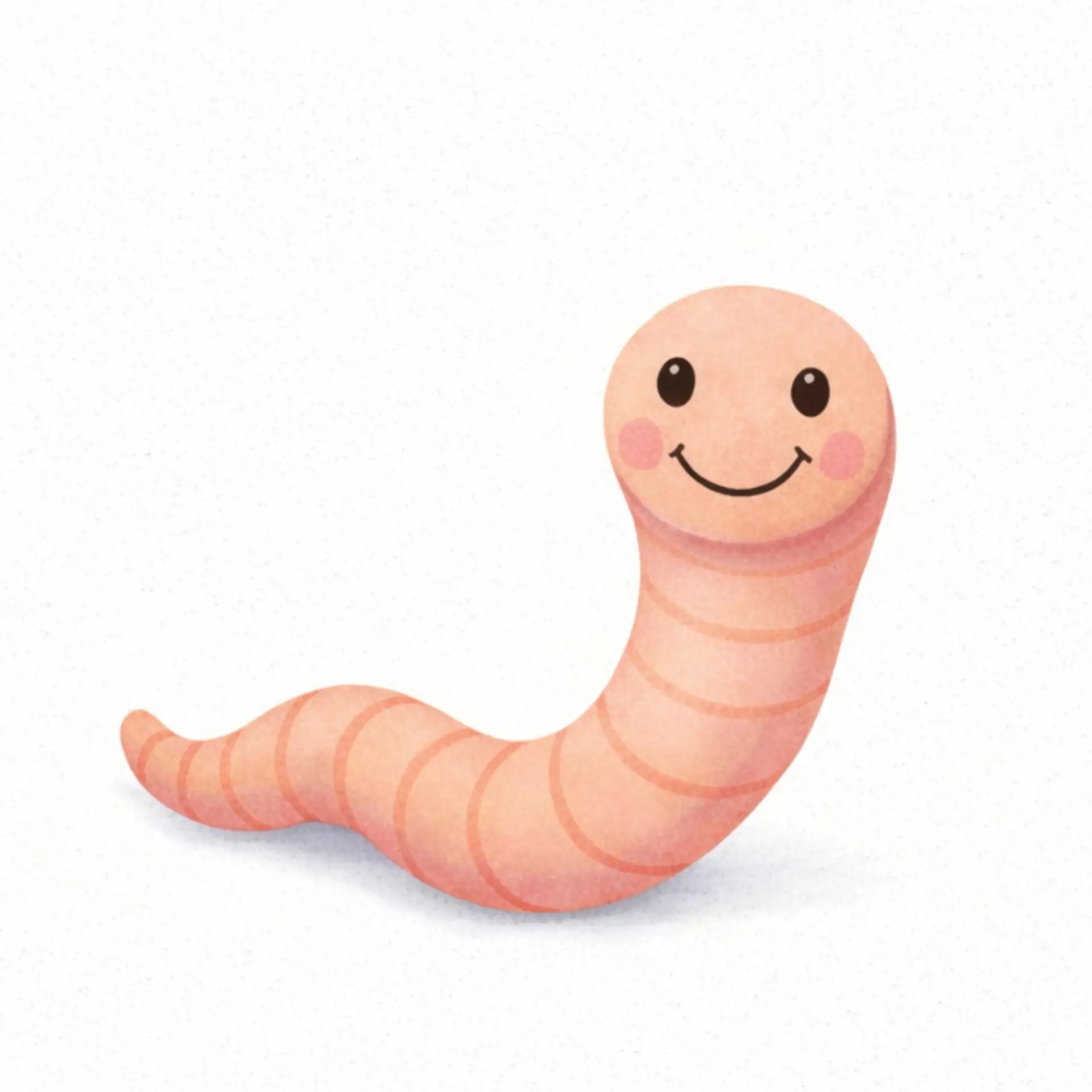 noodle