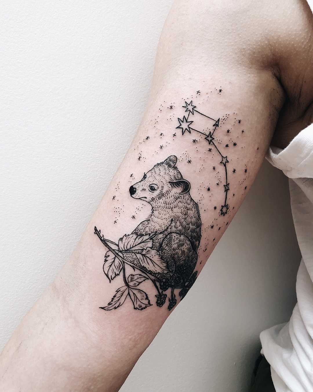 Little Dipper And Bear Tattoo - Tattoogrid.net 1350_x_1080_jpg