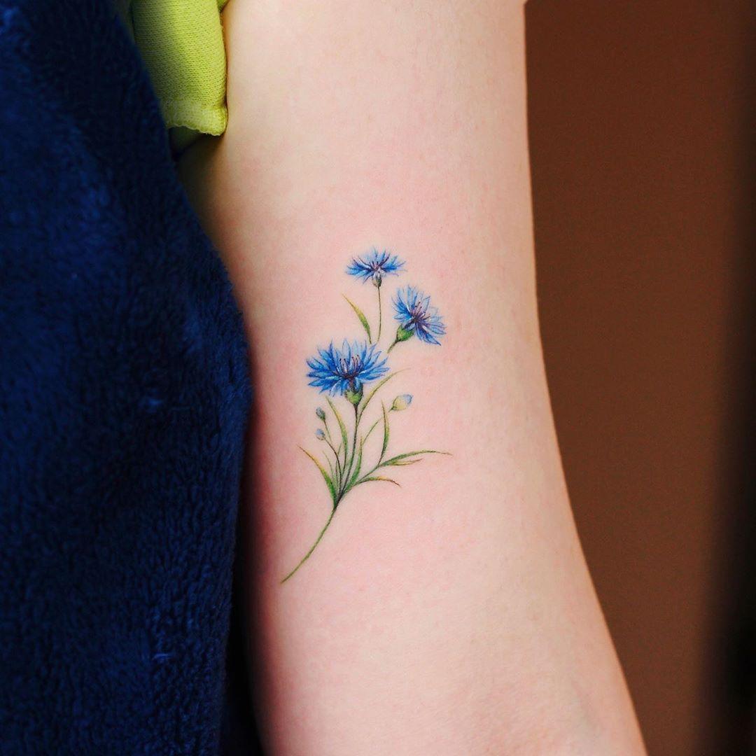 Cover Image of the Post