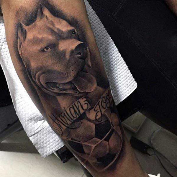 85+ Tatuagens Ferozes De Pitbull Masculinas E Femininas 600_x_600_jpg