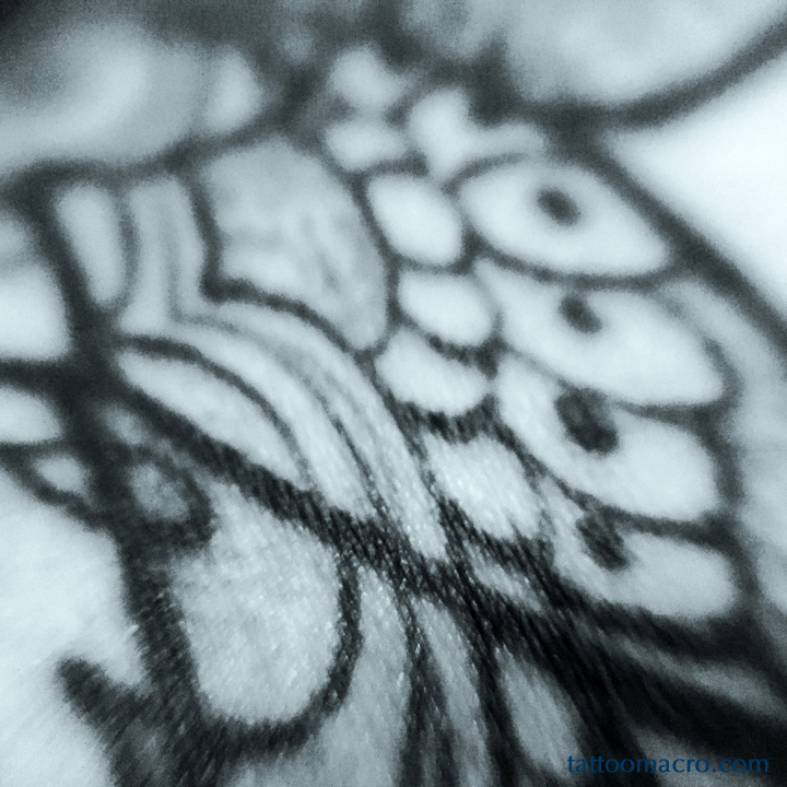 Untitled 2 web