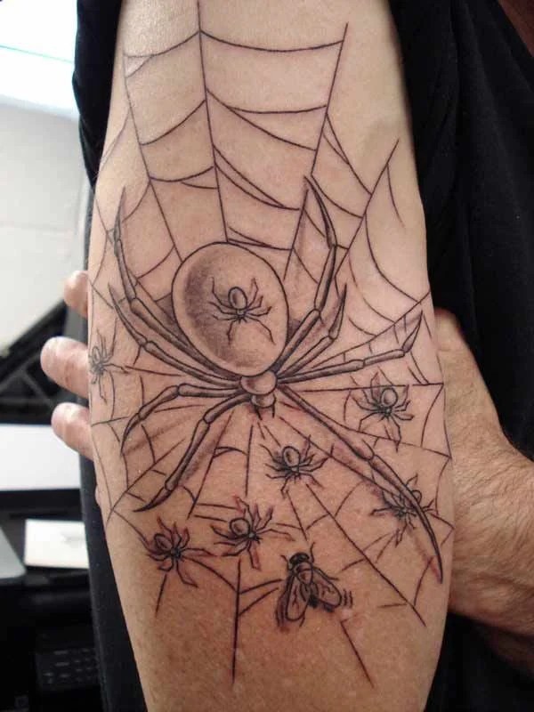 40+ Super Useful Spider Web Tattoos 800_x_600_jpg