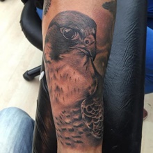 You can also tattoo falcon in flight with prey in its claws if you want to show a more sinister image of this gorgeous bird. 37 Falcon Tattoos With Majestic Meanings Tattooswin
