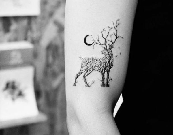 Cervo tatuagem mulher braço Pin Em Un Tal Carlos
