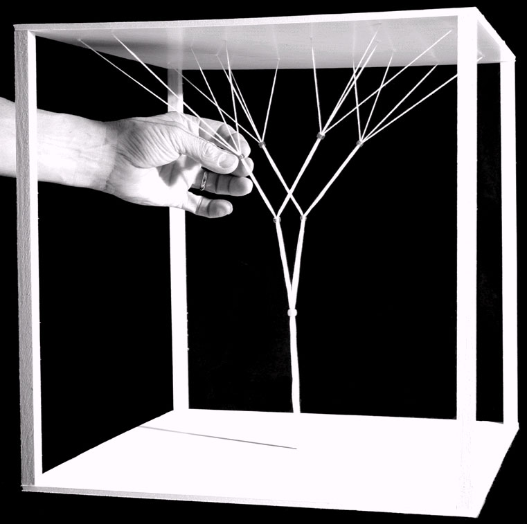 A study model of a structurally optimized tree-column