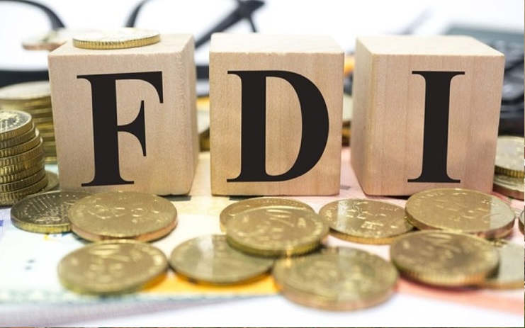29 FDI Investments Worth ₹4,895.65 Crore Reported