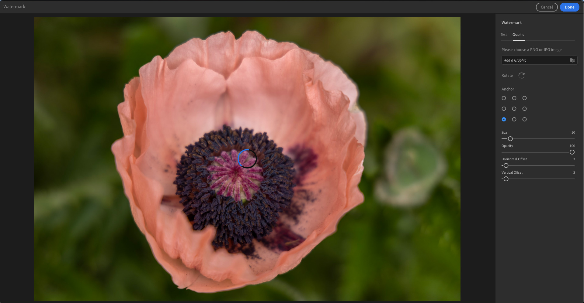 Open lightroom and select the image you want to watermark. How To Use Graphical And Signature Watermarks In Adobe Lightroom