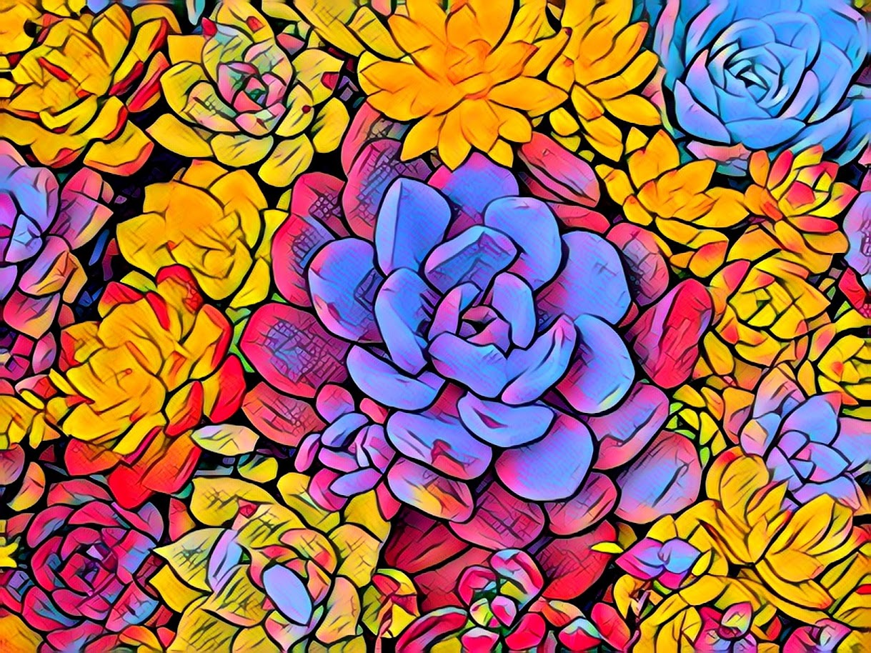 Chromatic Bloom