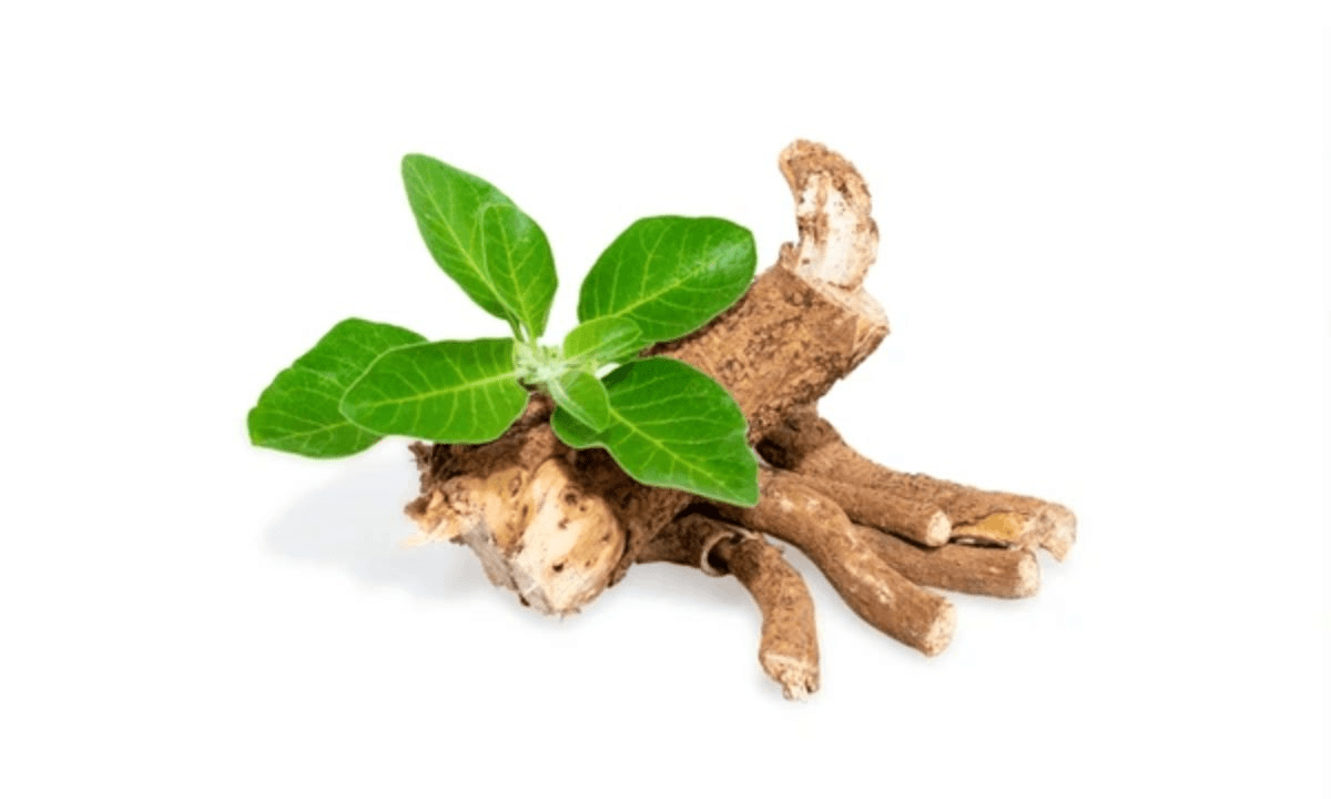 Ashwagandha (Stress reducer)