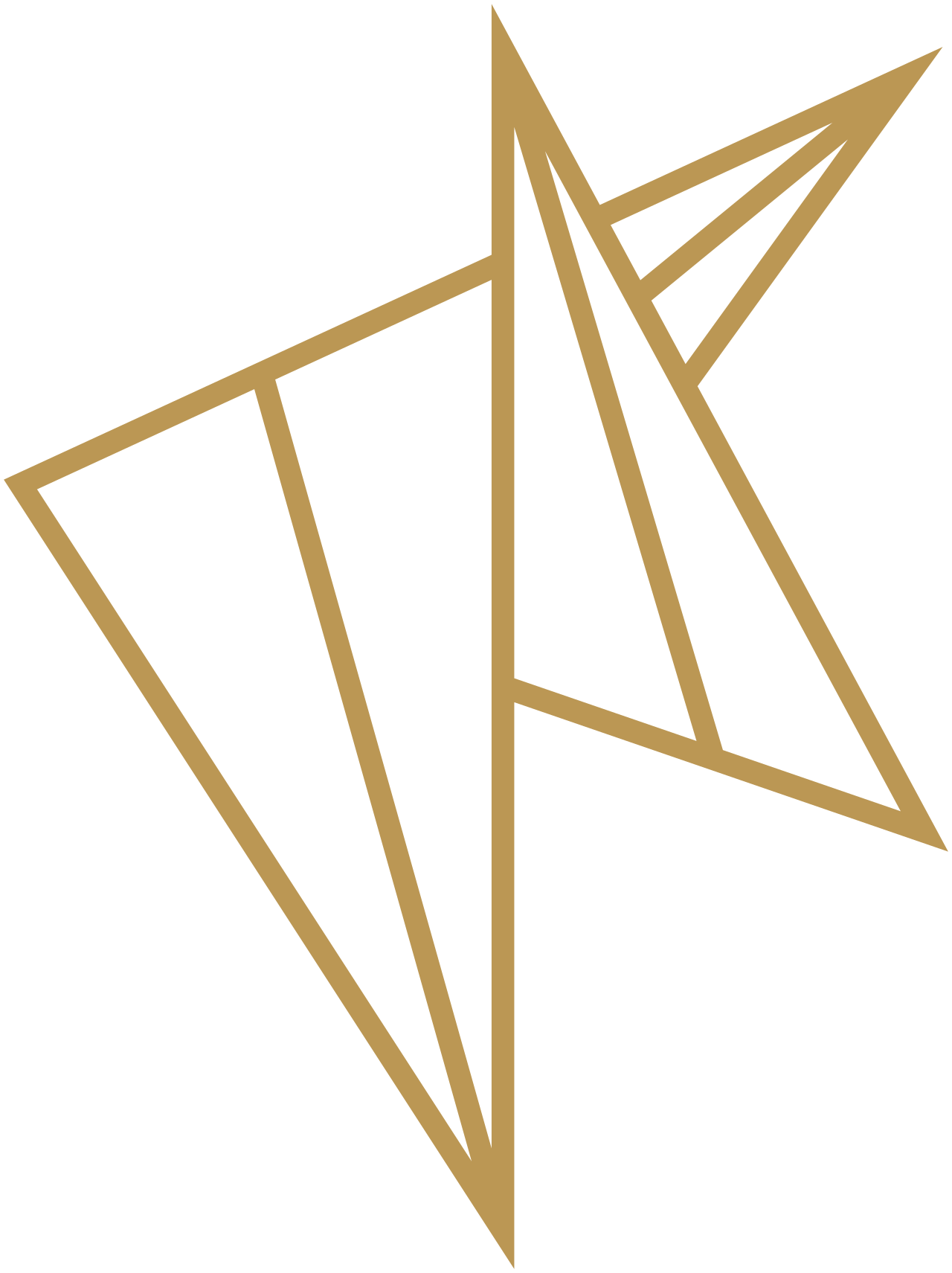 TBEXATIC GOLD LOGO