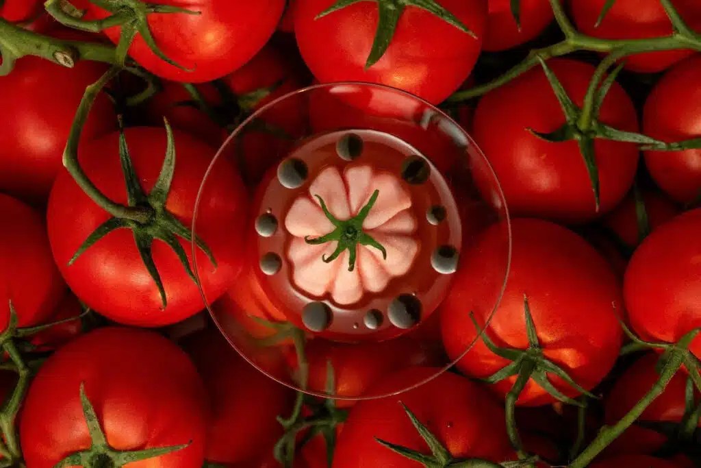 Tomatini Sorbet in a glass bowl surrounded by ripe tomatoes at LPM Abu Dhabi