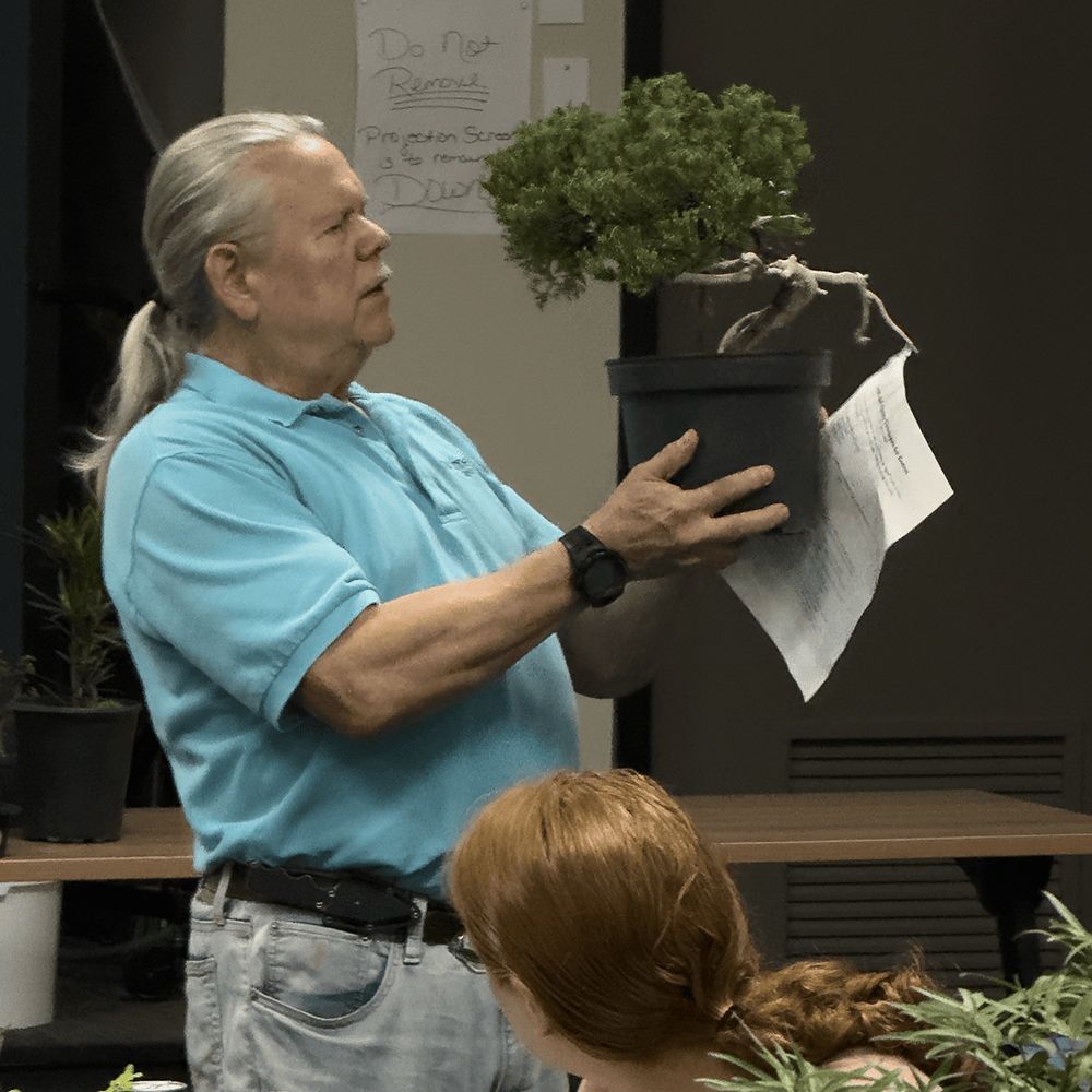September 2026 Bonsai Club Meeting