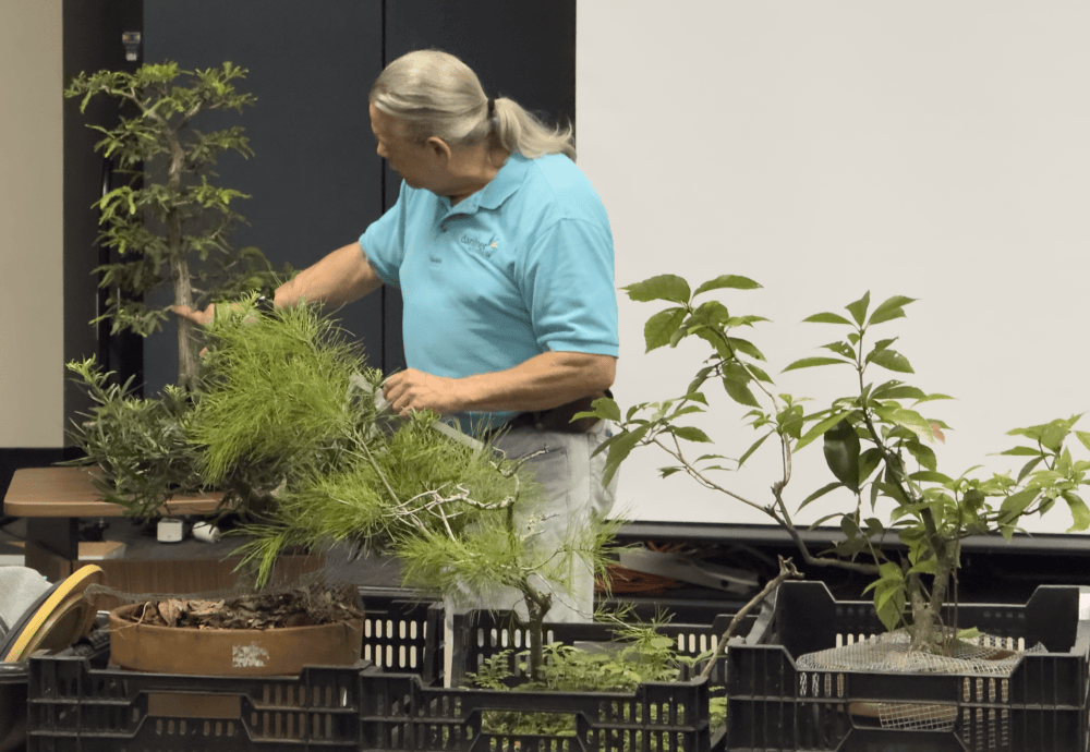 September 2026 Bonsai Club Meeting