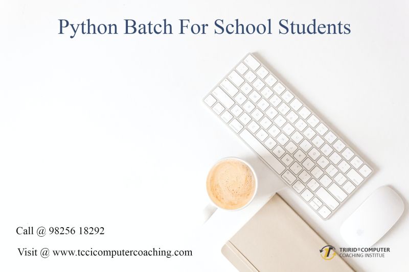 Python For School Students Tccicomputercoaching - HD Landscape Arts for Desktop