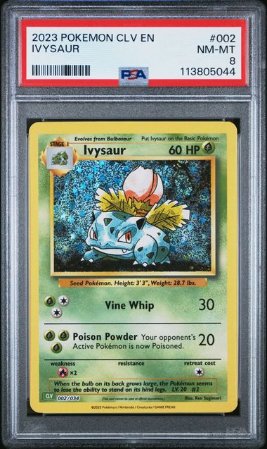 PSA 9 Slabs -