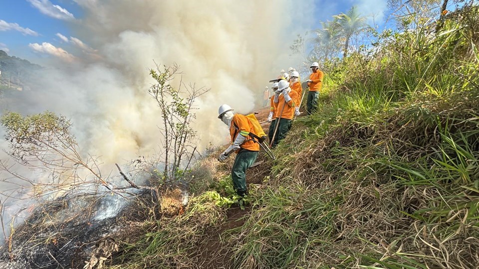 Iema realiza treinamento de combate e prevenção a incêndios para monitores florestais