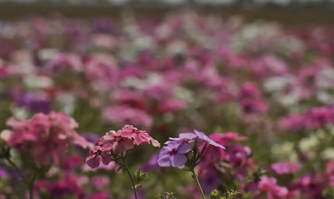 Primavera começa com chegada de frente fria, temporais e fortes ventos