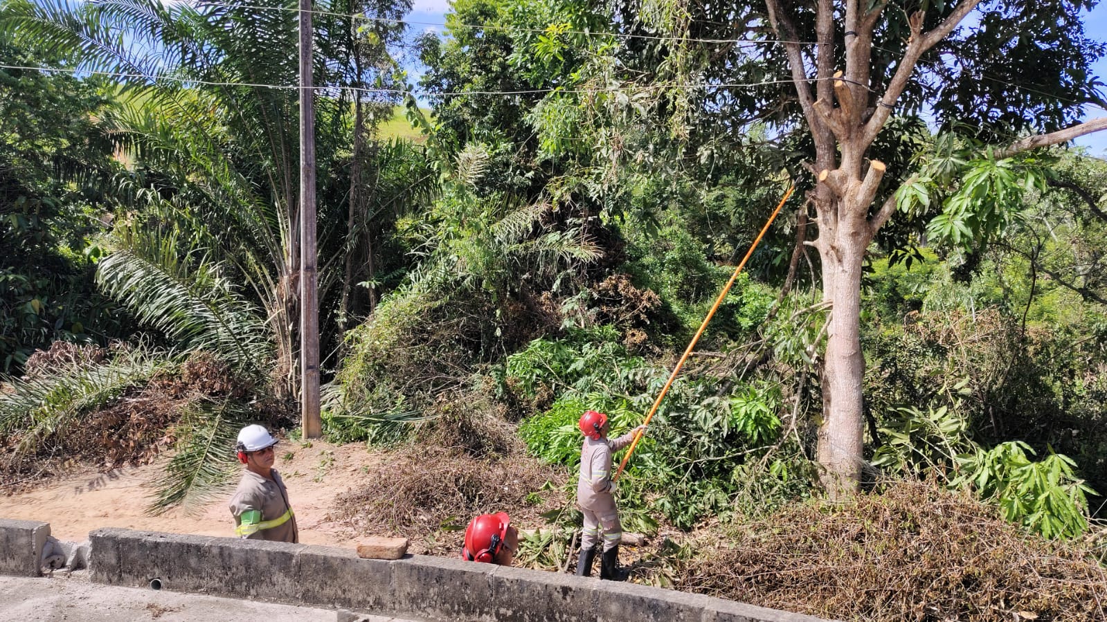 Moradores voltam a reclamar de falta de energia no km 23 em São Mateus