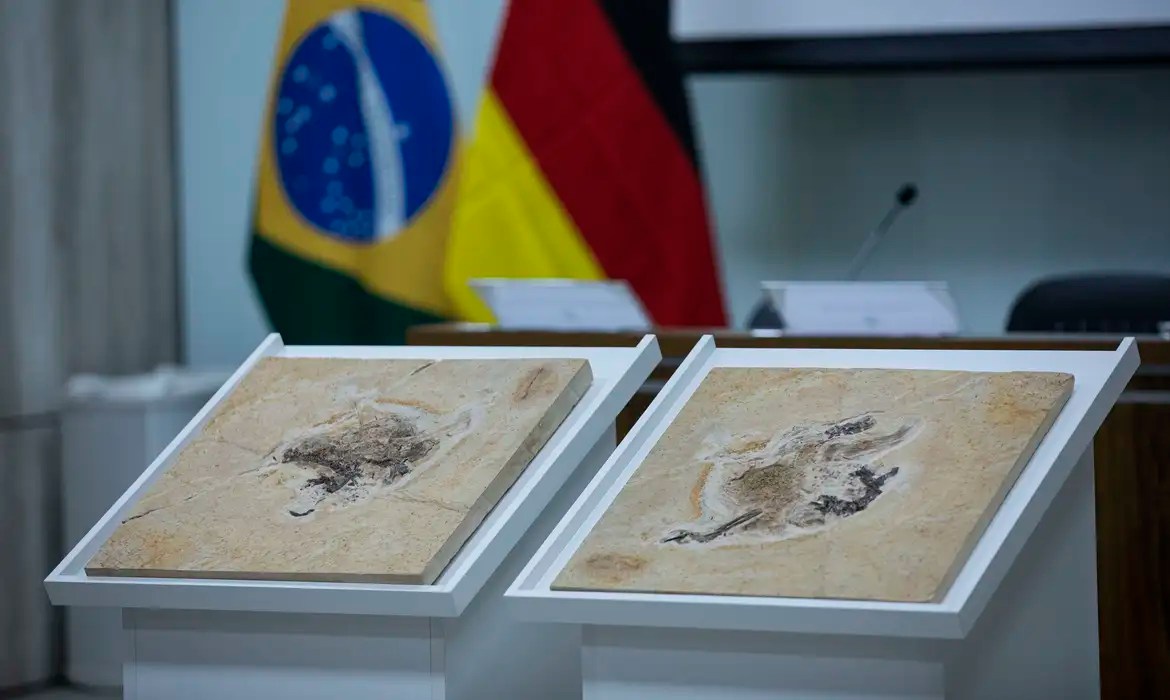 Brasil quer recuperar dinossauros e patrimônios que estão em 14 países