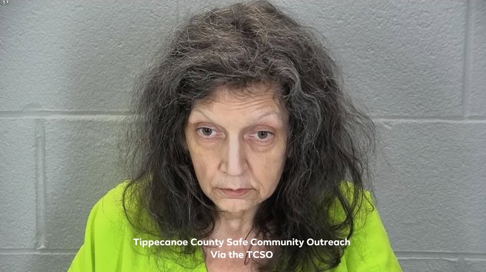 Tina lesley