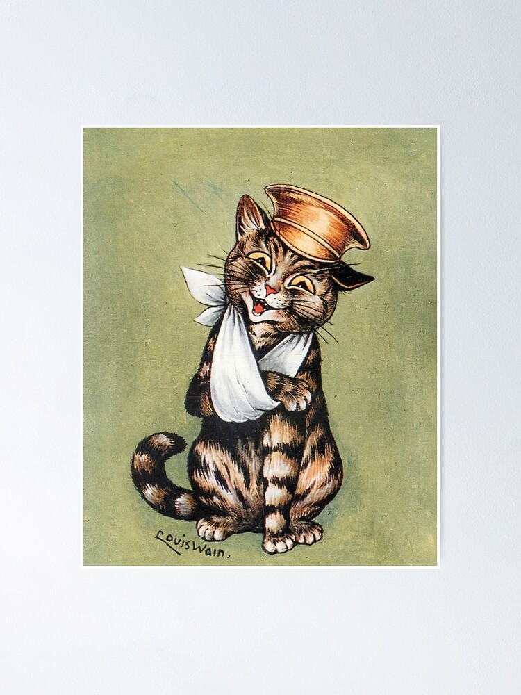 Wounded cat