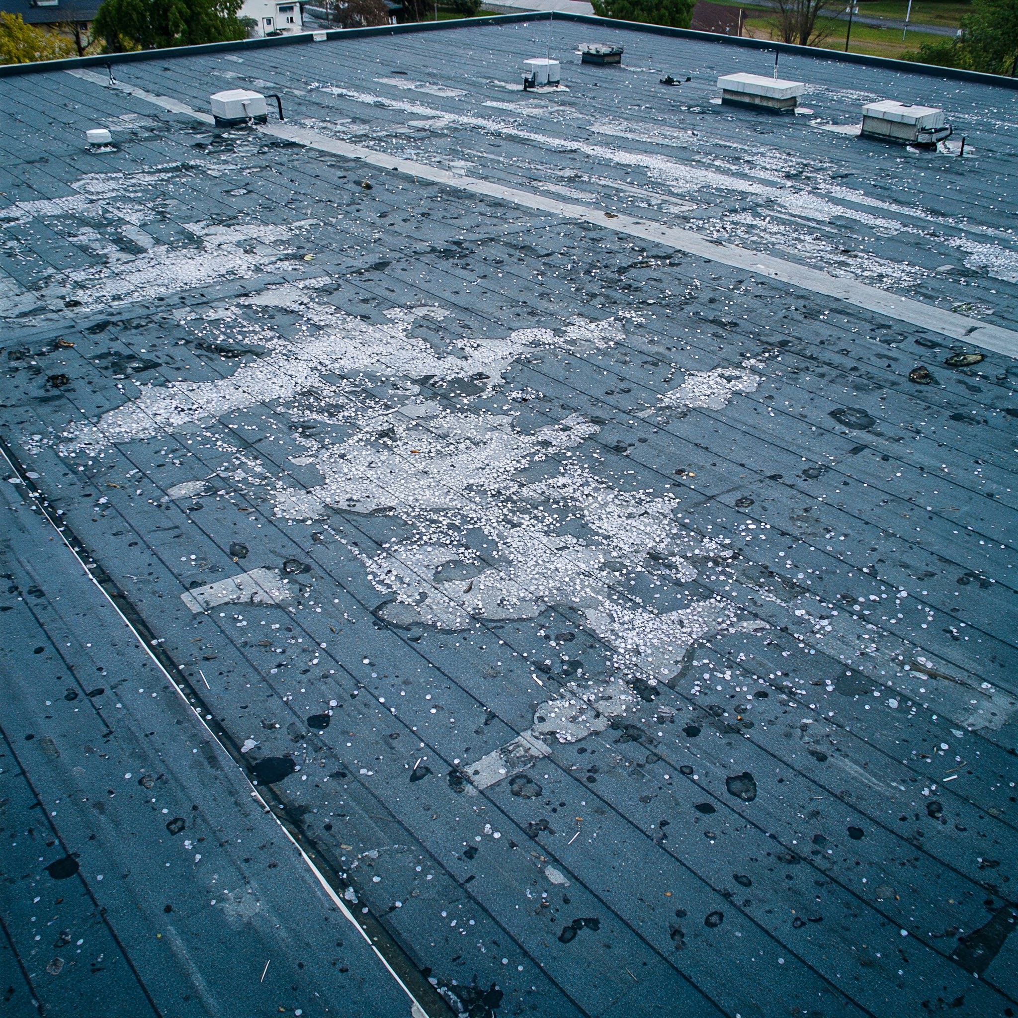 Hail damage to a commercial roof, representing The David Group's expertise in claims of this kind.