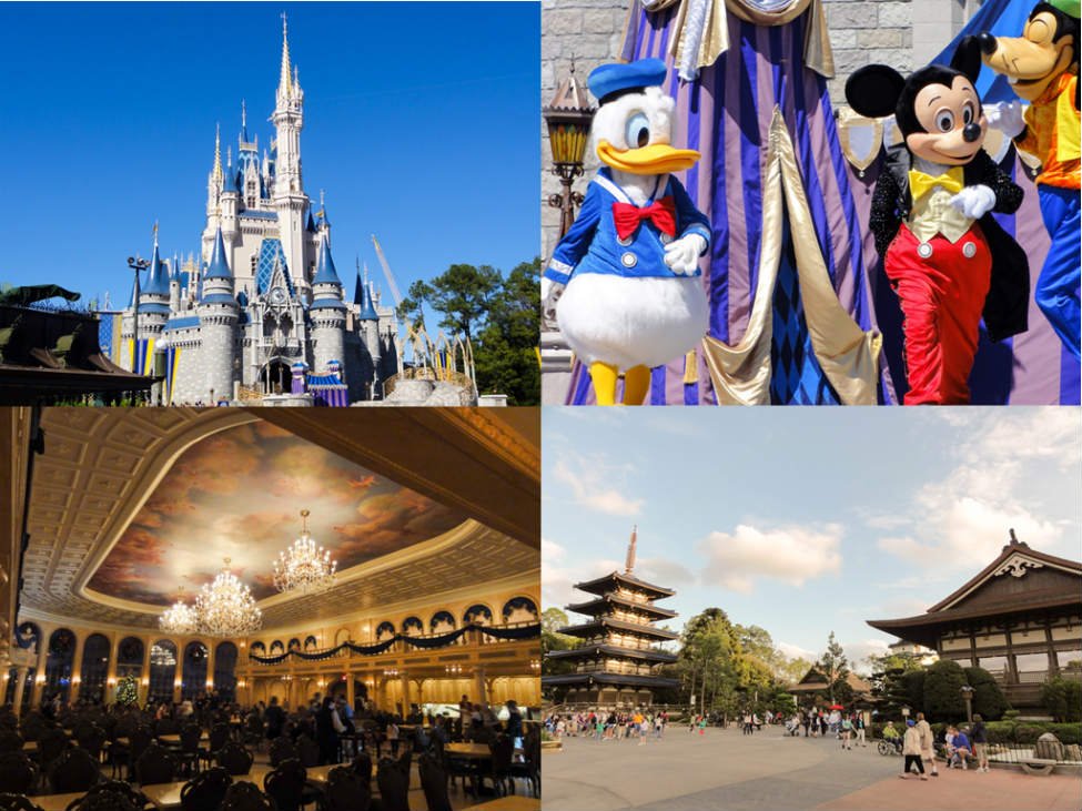 ディズニーのすごい動物園 Wdw ディズニー アニマル キングダム 徹底ガイド Tdrハック