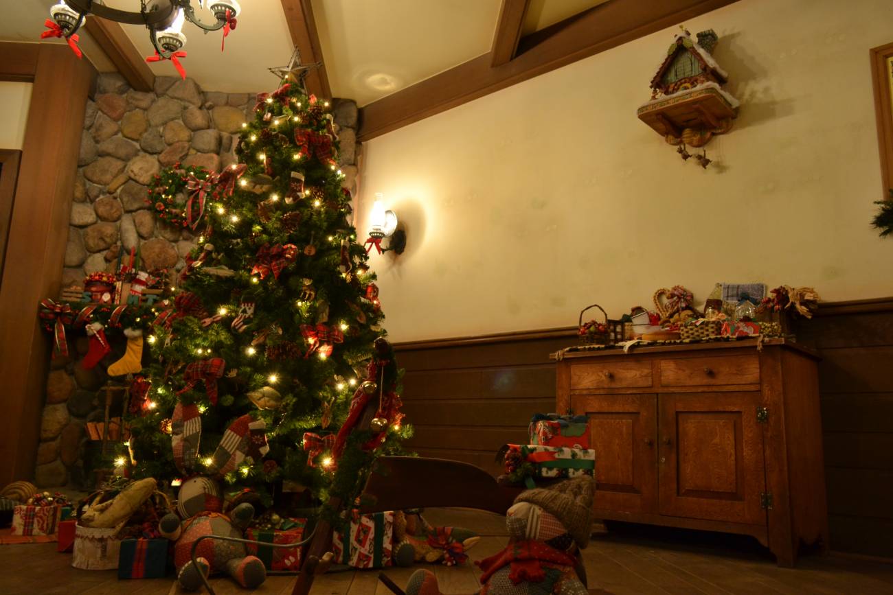 ジャングルカーニバルのゲーム 丸太投げ ボール転がし 攻略法は 12月土日tdlレポート Tdrハック ジャングルカーニバルのゲーム 丸太投げ ボール転がし 攻略法は 12月土日tdlレポート Tdrハック