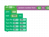 Randomizer