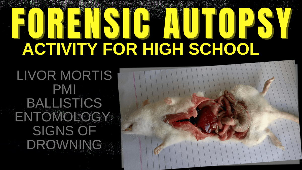 My favorite subject to teach is Forensic Science. It is the perfect mix of applied Biology, Chemistry, Math, and the Yuck-Factor that students just love! And no topic in Forensic Science has more 'yuck' than the study of dead bodies. Students look forward to this unit all year! They are never disappointed.