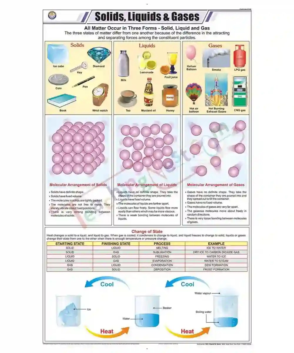 Solids, Liquids & Gases Chart Laminated, With Rollers TeachingNest