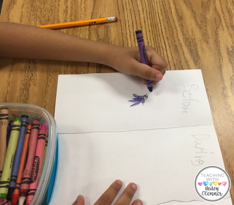 Visualizing Visual Visualisation Teaching - Perfect Ocean Texture - Full HD