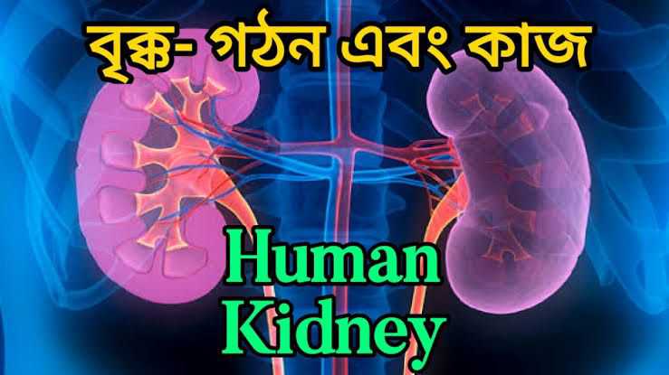 Voice Change Rules Pdf - Ocean Backgrounds - Gorgeous 8K Collection