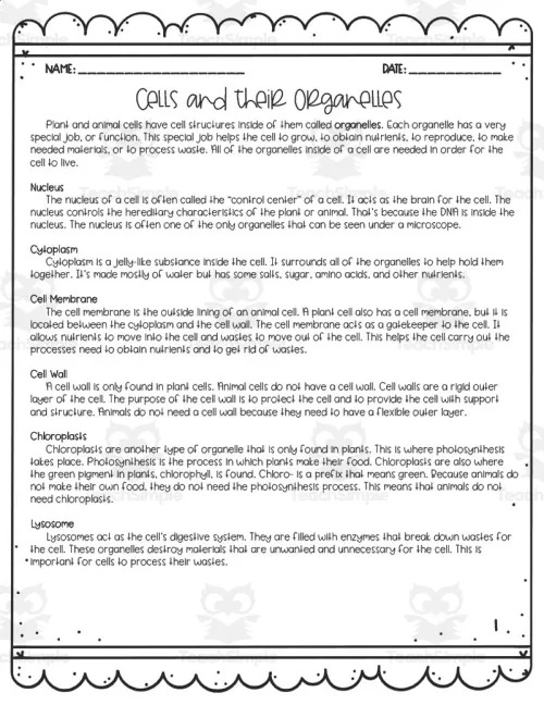 Teaching biology concepts: 10 in-depth cell organelles worksheet