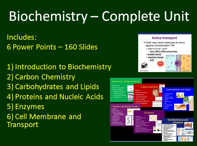 10 11 12 enzyme kinetics enzyme mechanisms blood proteins, hemoglobin. Biochemistry Complete Unit Teach With Fergy