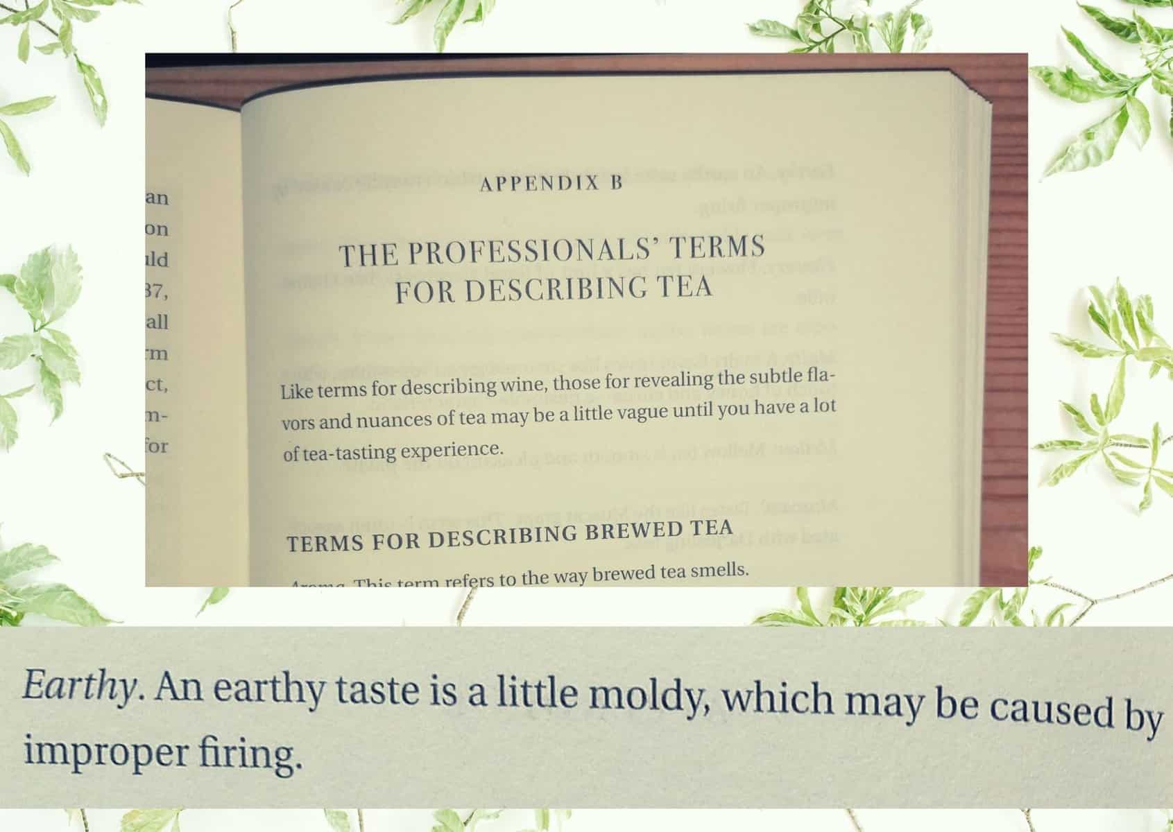 Too Good For Words - Tea Fancier