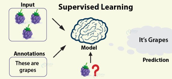Machinelearningintroduction Team Data Scientists - Professional Mobile Colorful Wallpapers | Free Download