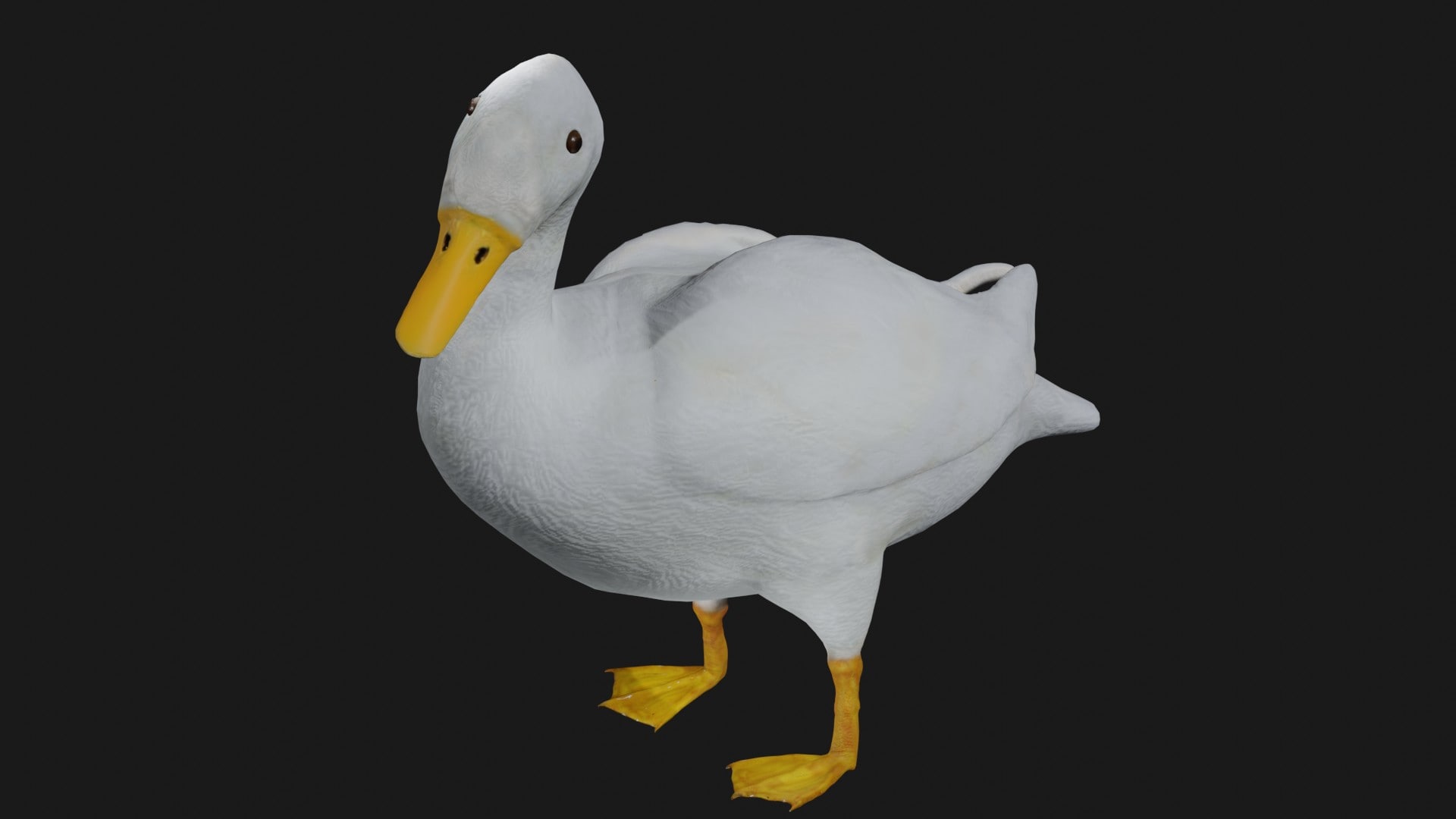 Duck collection 3d model rigged and low poly game ready